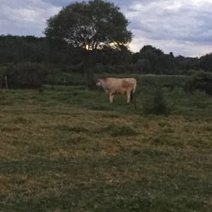 Meet your Posher, Krysta